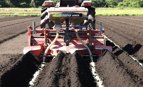 溝施肥で理想の長ネギ